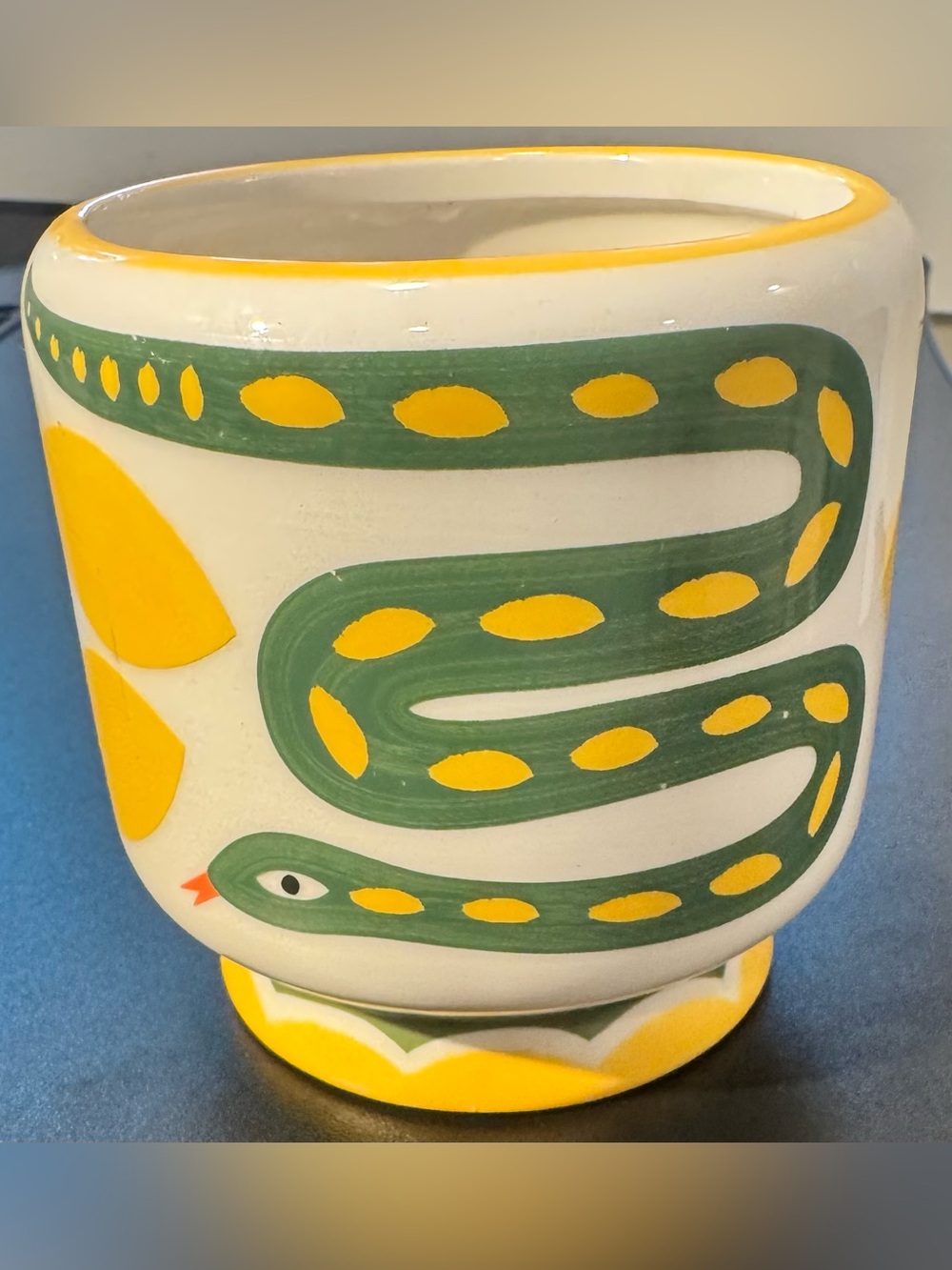 Hand-Painted Ceramic Planter with Green & Yellow Snake Motif